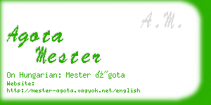 agota mester business card